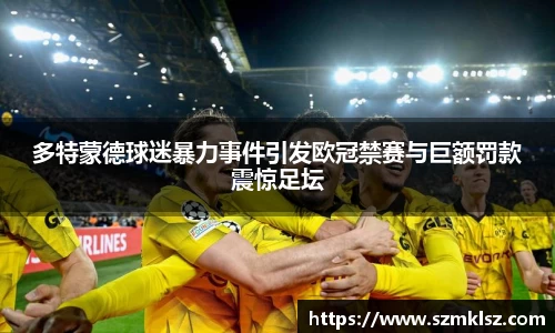 多特蒙德球迷暴力事件引发欧冠禁赛与巨额罚款震惊足坛