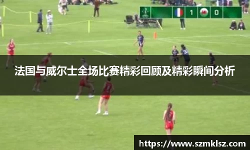法国与威尔士全场比赛精彩回顾及精彩瞬间分析